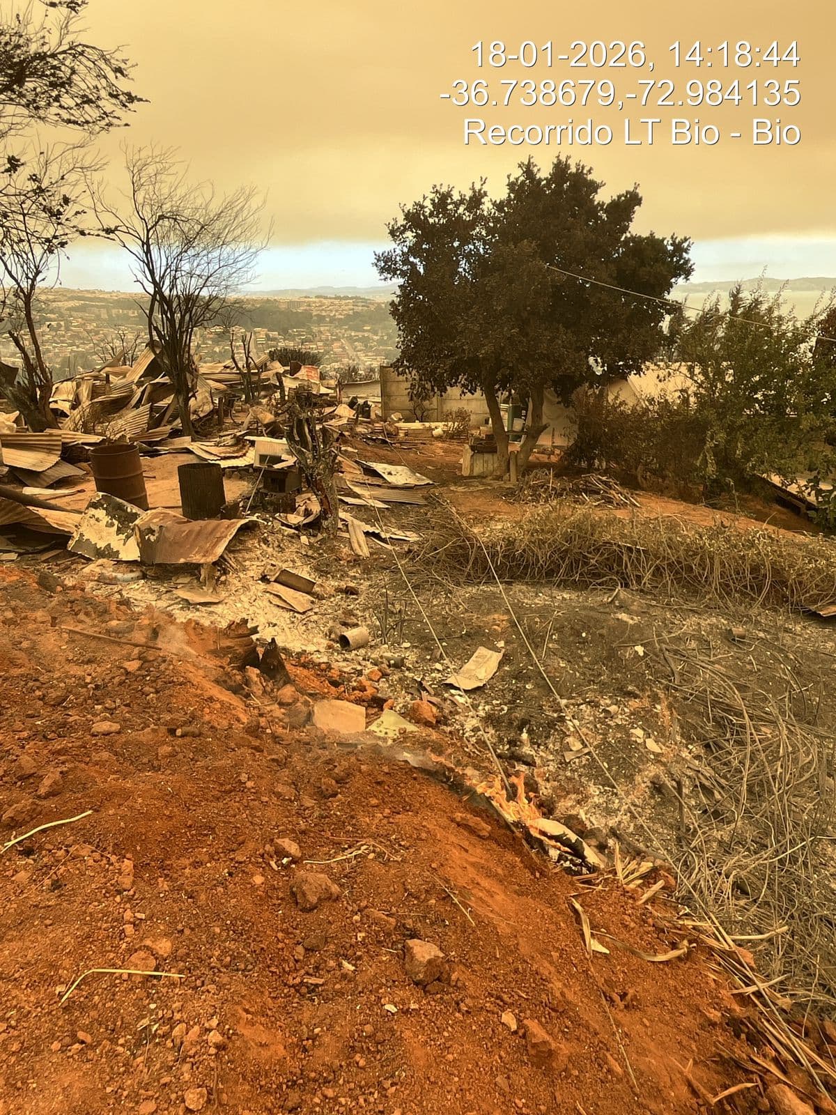 MSTI despliega equipos para evaluar daños críticos en líneas de transmisión tras incendios en el Biobío